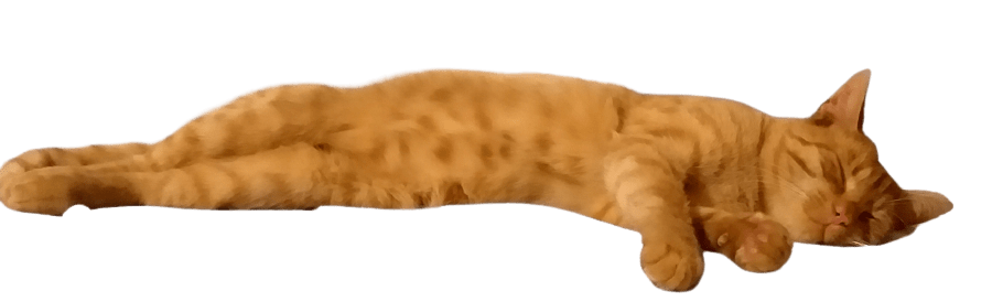 Vnitřní muž a vnitřní žena